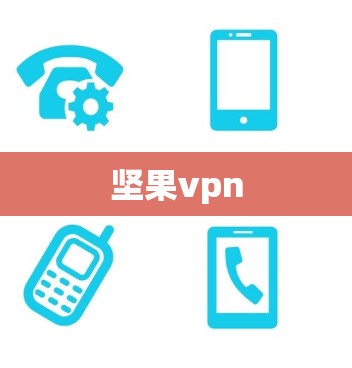 坚果vpn