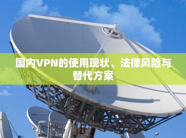 国内VPN的使用现状、法律风险与替代方案