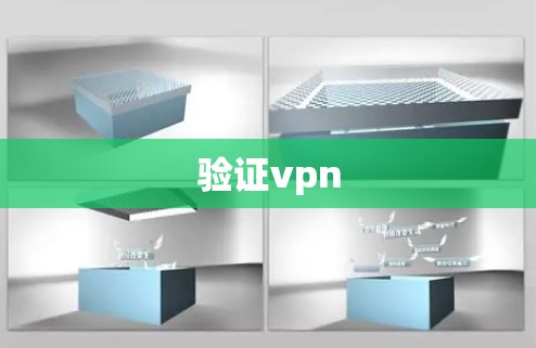 验证vpn